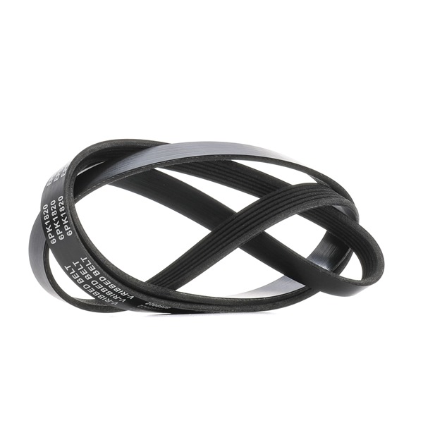 V-Belt RIDEX 305P0161 305P0161 - photo 1