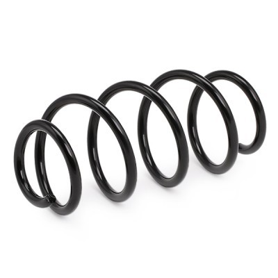 Suspension Spring RIDEX 188C0399 188C0399 - photo 3