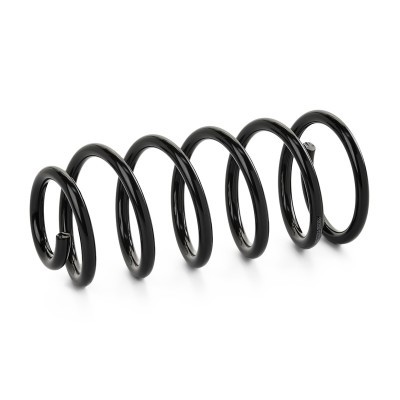 Suspension Spring RIDEX 188C1203 188C1203 - photo 2