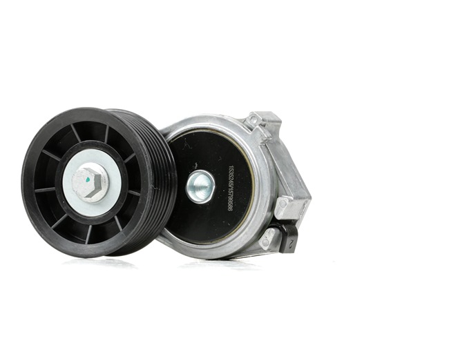 Belt Tensioner V-Ribbed Belt RIDEX 310T0374 310T0374 - photo 1