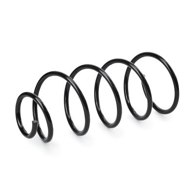 Suspension Spring RIDEX 188C0488 188C0488 - photo 3