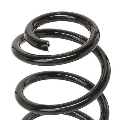 Suspension Spring RIDEX 188C0317 188C0317 - photo 4