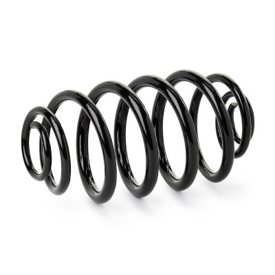 Suspension Spring RIDEX 188C1855 188C1855 - photo 2