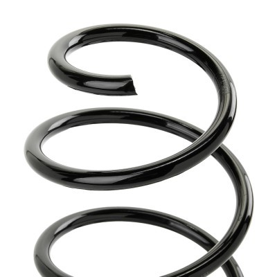 Suspension Spring RIDEX 188C1423 188C1423 - photo 3