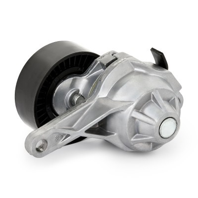 Belt Tensioner V-Ribbed Belt RIDEX 310T0382 310T0382 - photo 4