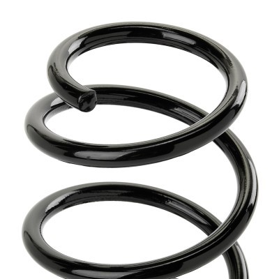 Suspension Spring RIDEX 188C1008 188C1008 - photo 3