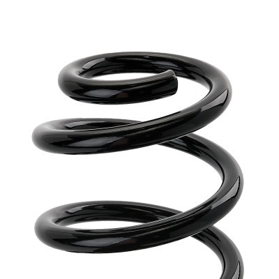 Suspension Spring RIDEX 188C0959 188C0959 - photo 4