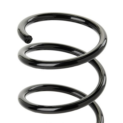 Suspension Spring RIDEX 188C0955 188C0955 - photo 3