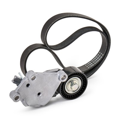 Drive Belt Kit RIDEX 542R0114P 542R0114P - photo 9
