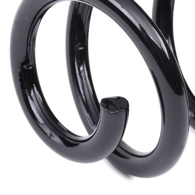 Suspension Spring RIDEX 188C0867 188C0867 - photo 4