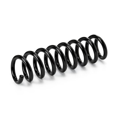 Suspension Spring RIDEX 188C1007 188C1007 - photo 2