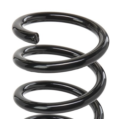 Suspension Spring RIDEX 188C1842 188C1842 - photo 3