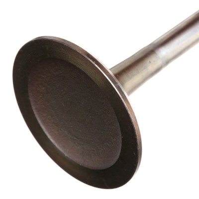 Intake Valve RIDEX 1269I0004 1269I0004 - photo 5