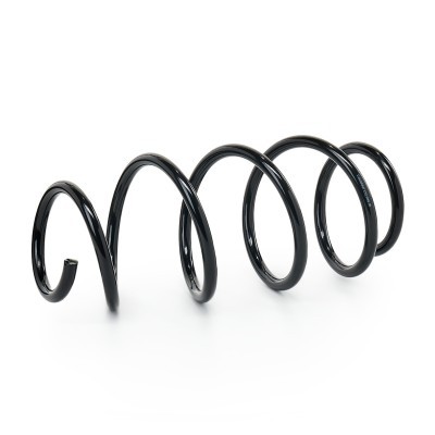 Suspension Spring RIDEX 188C2221 188C2221 - photo 2