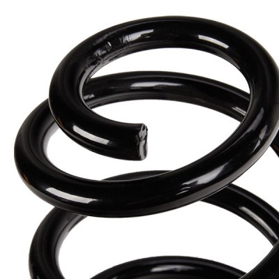 Suspension Spring RIDEX 188C0719 188C0719 - photo 4