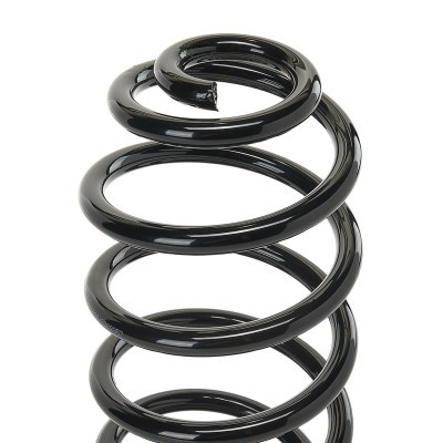 Suspension Spring RIDEX 188C0327 188C0327 - photo 4