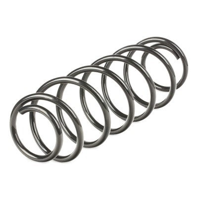 Suspension Spring RIDEX 188C0184 188C0184 - photo 3
