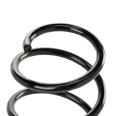 Suspension Spring RIDEX 188C1820 188C1820 - photo 4