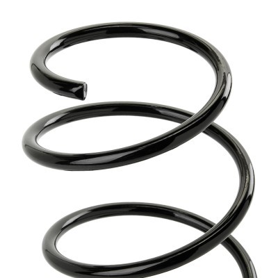 Suspension Spring RIDEX 188C0831 188C0831 - photo 3