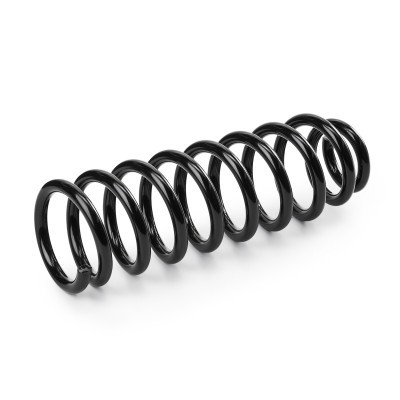 Suspension Spring RIDEX 188C1189 188C1189 - photo 3