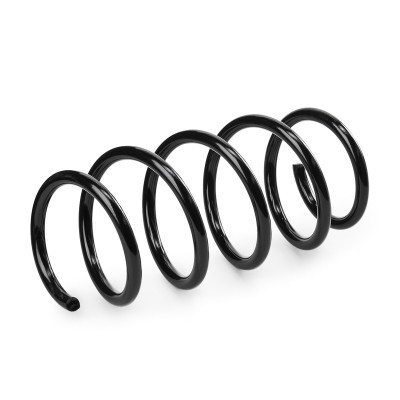 Suspension Spring RIDEX 188C0876 188C0876 - photo 3