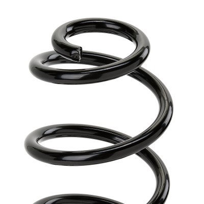Suspension Spring RIDEX 188C2462 188C2462 - photo 3