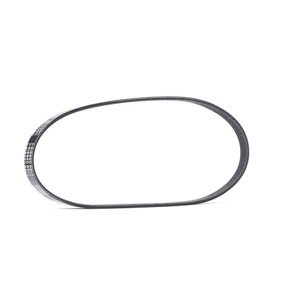 V-Ribbed Belt Stark SKPB-0090322 SKPB-0090322 - photo 1