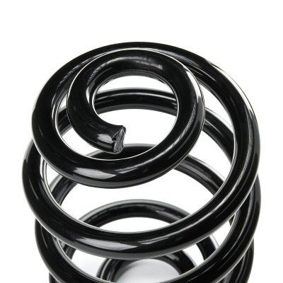 Suspension Spring RIDEX 188C0681 188C0681 - photo 4