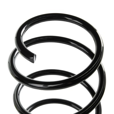 Suspension Spring RIDEX 188C0767 188C0767 - photo 4