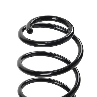 Suspension Spring RIDEX 188C0752 188C0752 - photo 3