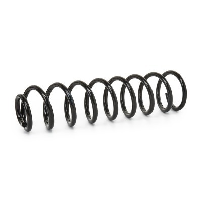 Suspension Spring RIDEX 188C0115 188C0115 - photo 2