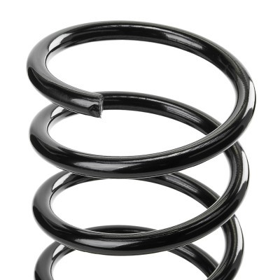 Suspension Spring RIDEX 188C0862 188C0862 - photo 4