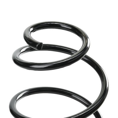 Suspension Spring RIDEX 188C0488 188C0488 - photo 4