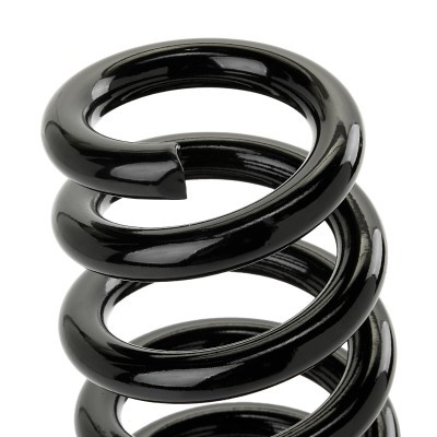 Suspension Spring RIDEX 188C1525 188C1525 - photo 3