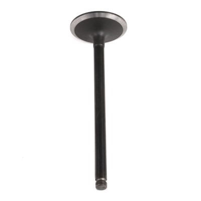 Intake Valve RIDEX 1269I0013 1269I0013 - photo 6