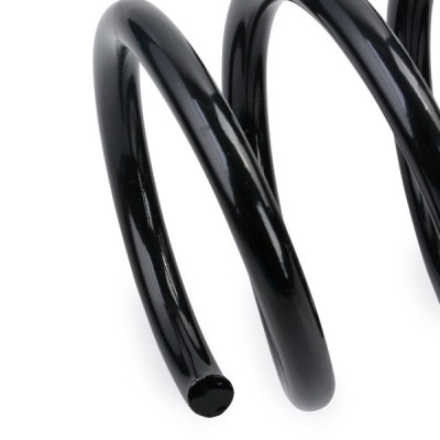 Suspension Spring RIDEX 188C0534 188C0534 - photo 4