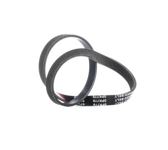 V-Ribbed Belt Stark SKPB-0090151 SKPB-0090151 - photo 1