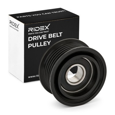 Belt Tensioner V-Ribbed Belt RIDEX 310T0746 310T0746 - photo 2