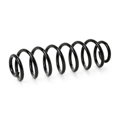 Suspension Spring RIDEX 188C1271 188C1271 - photo 2