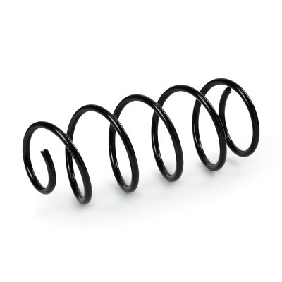 Suspension Spring RIDEX 188C1335 188C1335 - photo 2