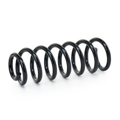 Suspension Spring RIDEX 188C2168 188C2168 - photo 2
