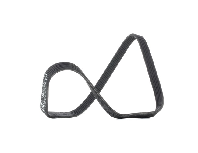 V-Ribbed Belt Stark SKPB-0090044 SKPB-0090044 - photo 1