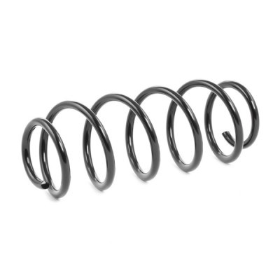 Suspension Spring RIDEX 188C0501 188C0501 - photo 3