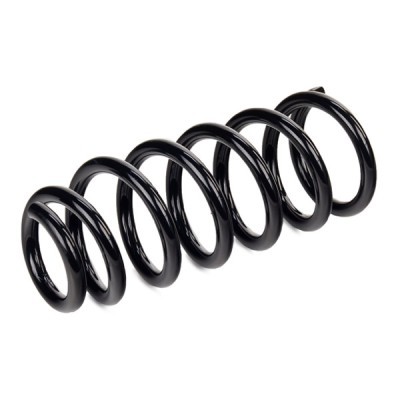 Suspension Spring RIDEX 188C0389 188C0389 - photo 3