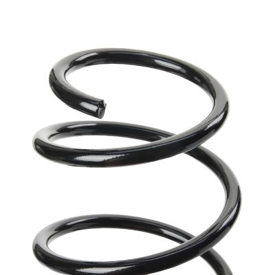 Suspension Spring RIDEX 188C1133 188C1133 - photo 3