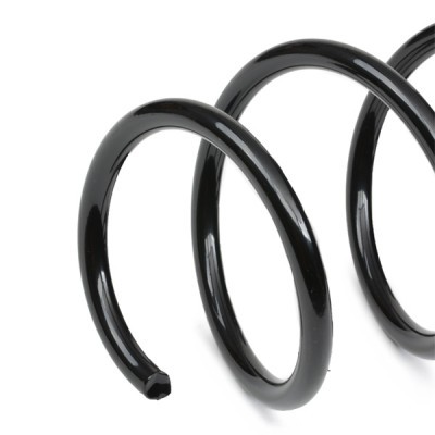 Suspension Spring RIDEX 188C0747 188C0747 - photo 4