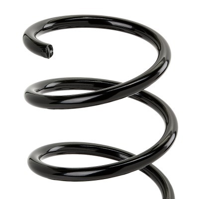 Suspension Spring RIDEX 188C0731 188C0731 - photo 3