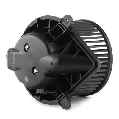 Interior Blower RIDEX 2669I0095 2669I0095 - photo 10