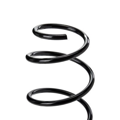Suspension Spring RIDEX 188C0990 188C0990 - photo 3