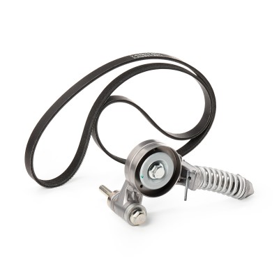 Drive Belt Kit RIDEX 542R0116P 542R0116P - photo 9